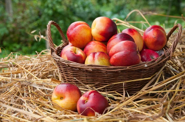 Peaches — Stock Photo, Image