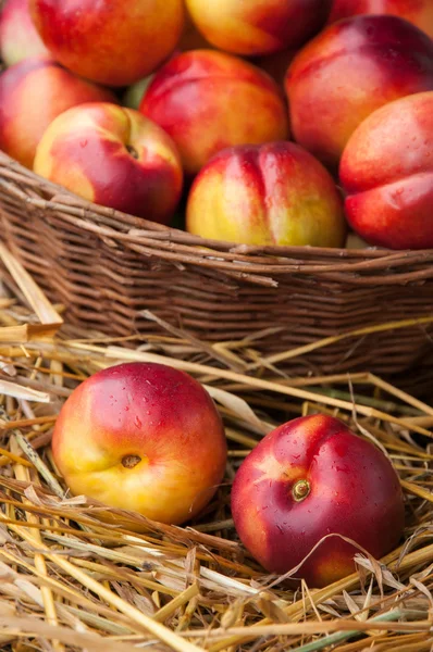 Juicy nectarines — Stock Photo, Image