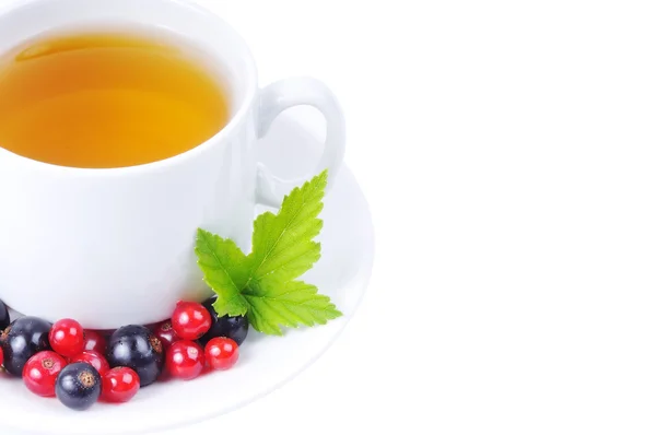 Tea green — Stock Photo, Image