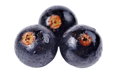 Siyah frenk üzümü