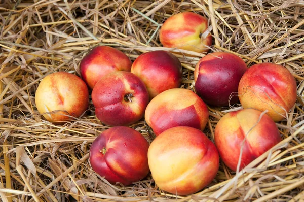 Peaches on straw. — Stock Photo, Image