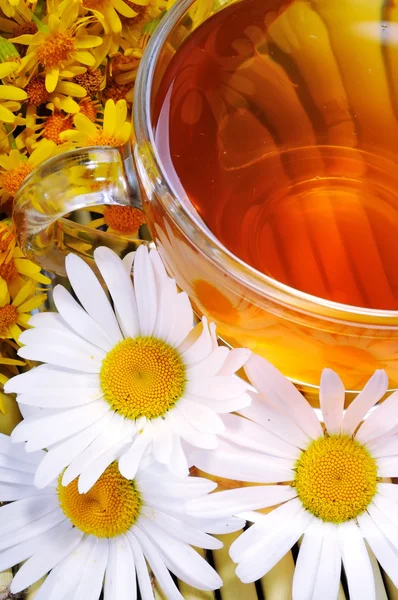 Herbal tea — Stock Photo, Image