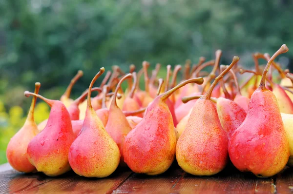 Ripe pears — Stock Photo, Image