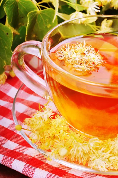 Tea linden — Stock Photo, Image