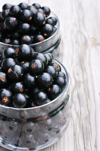 Schwarze Johannisbeere — Stockfoto