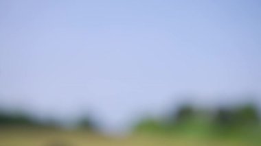 Gökyüzünden yogaya ağır çekim açık hava dişi Asyalı Çinlilere