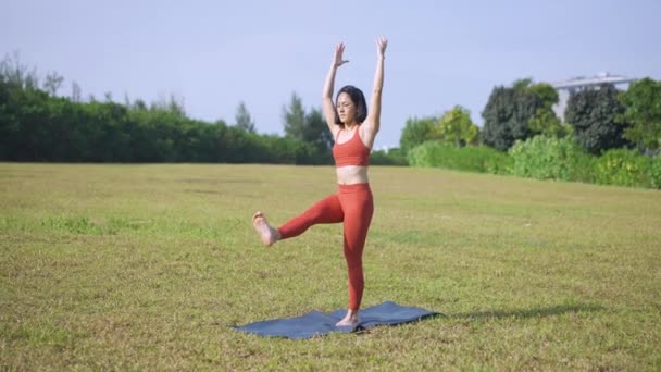 Enkel Asiatisk Kinesisk Kvinnlig Yogi Yoga Morgonen Grön Trädgård Äng — Stockvideo