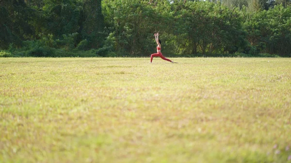 Ásia Chinês Feminino Senhora Yogi Praticar Ioga Alongamentos Poses Parque — Fotografia de Stock