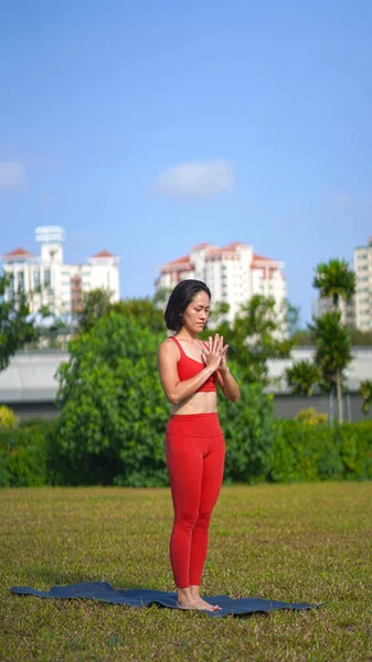 Asiatisk Kinesisk Kvinnlig Dam Yogi Utövar Yoga Stretches Poser Parken — Stockfoto