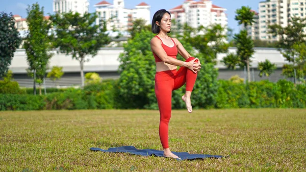 Asiatisk Kinesisk Kvinnlig Dam Yogi Utövar Yoga Stretches Poser Parken — Stockfoto