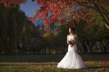 Asyalı Çinli gelin gelinlik doğa içinde