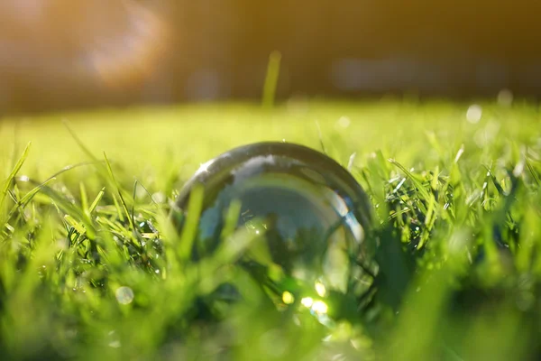 Crystal ball lying in the middle of grass patch — Stock Photo, Image