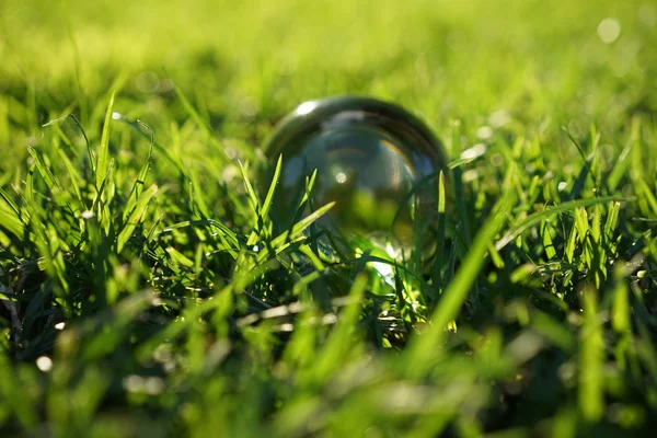 Bola de cristal deitado no meio do patch de grama — Fotografia de Stock