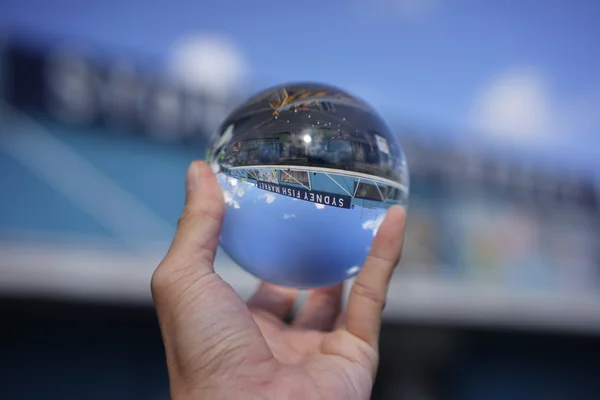 Sydney vismarkt — Stockfoto