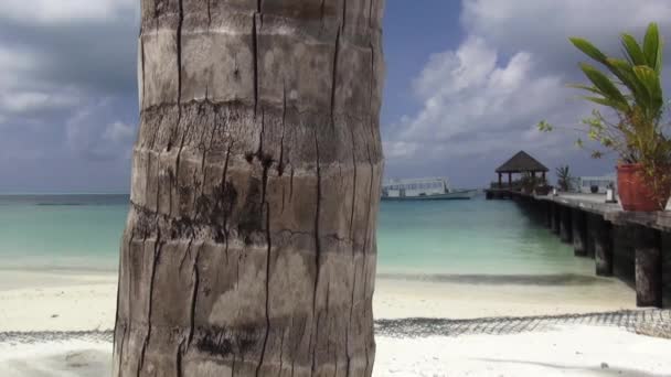 Water villa resort in maldives — Stock Video