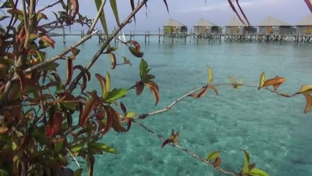 Villaggio turistico acquatico alle Maldive — Video Stock