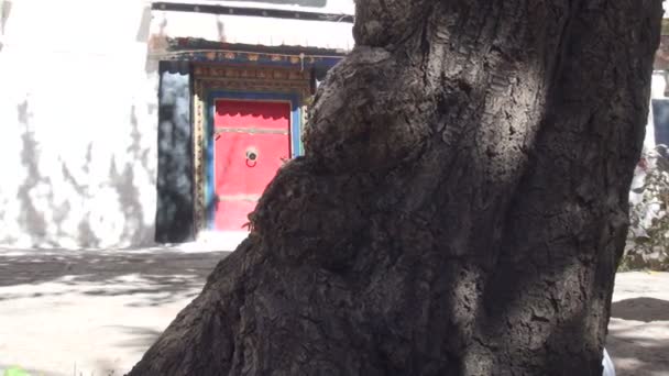 ビデオの一般的なチベットの庭のショットと複合を追跡します。 — ストック動画
