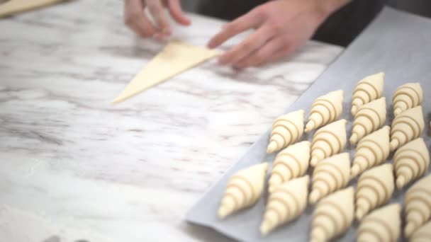 Close up of baker making croissant using flour — Stock Video