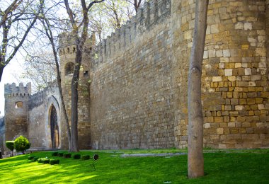 lezzetli, taze çilek berry