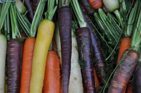 Bunch of colored carrots Royalty Free Stock Images