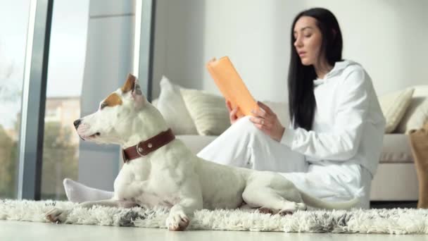 Ελκυστικό κορίτσι διαβάζει βιβλίο με το καθαρόαιμο σκυλί της στο μοντέρνο διαμέρισμα. Χόμπι, ζώα και εσωτερική έννοια — Αρχείο Βίντεο