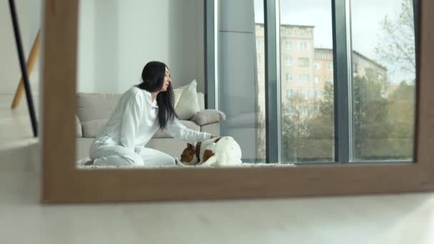 Ung kvinna smekte sin renrasiga hund när hon satt på golvet nära fönstret. Fritidsintressen, djur och inredningskoncept — Stockvideo