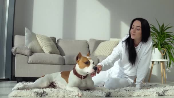 Attraente ragazza accarezzando il suo cane di razza mentre sdraiato sul pavimento in un appartamento moderno. Interessi, animali e concetto interno — Video Stock