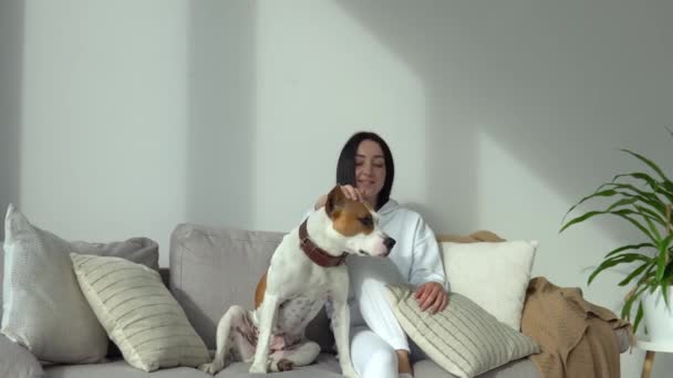 Ung kvinna smeker sin hund i vacker modern lägenhet. Djur njuter av sin ägare kärlek och omsorg — Stockvideo