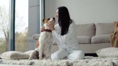 Genç bir kadın, modern bir dairede yerde yatarken safkan köpeğini okşuyor. Hobiler, hayvanlar ve iç konsept