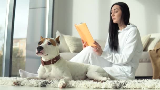 Ελκυστικό κορίτσι διαβάζει βιβλίο με το καθαρόαιμο σκυλί της στο μοντέρνο διαμέρισμα. Χόμπι, ζώα και εσωτερική έννοια — Αρχείο Βίντεο