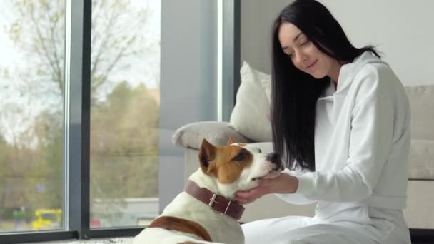 Νεαρή γυναίκα χαϊδεύει το σκυλάκι της στο όμορφο μοντέρνο διαμέρισμα. Ζώο απολαμβάνει την αγάπη και τη φροντίδα των ιδιοκτητών του — Αρχείο Βίντεο