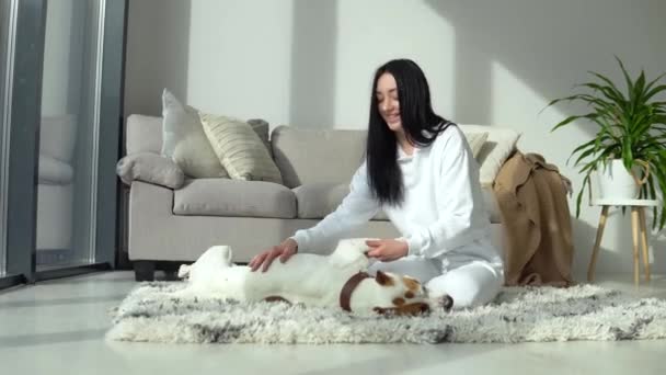 Attractive girl stroking her purebred dog while lying on the floor in a modern apartment. Hobbies, animals and interior concept. Animal is enjoying its owners love and care — Video
