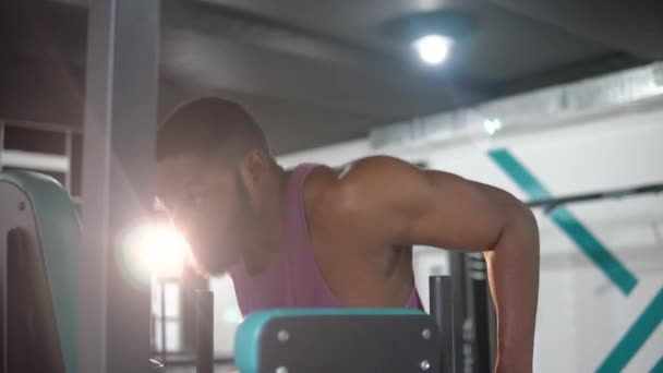 Бородатий чорний чоловік тренується в спортзалі. Концепція бодібілдингу — стокове відео