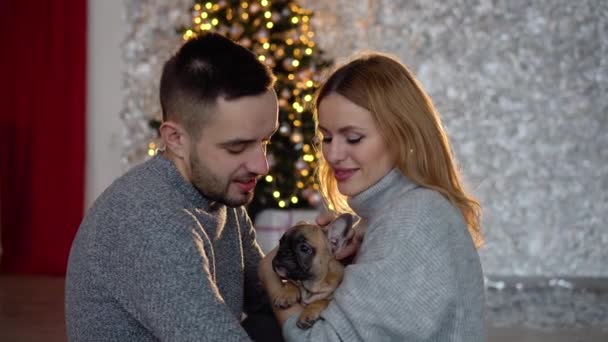 Um casal apaixonado por seu cão na sala de estar decorada para o Natal — Vídeo de Stock