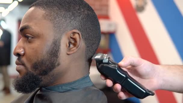 La peluquera corta el cabello de los clientes con una cortadora de pelo — Vídeo de stock