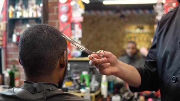 Peluquería corta el cabello de los clientes con tijeras. Un hombre en la peluquería. La profesión de peluquero — Vídeos de Stock