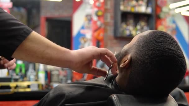 理发师用剪刀剪头发,并用梳子梳理客户的胡子.胡子在乎。男人的美 — 图库视频影像