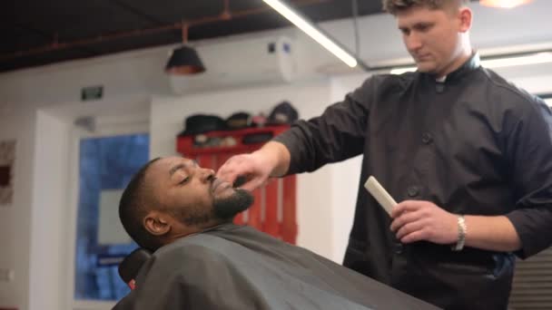 理发师用剪刀剪头发,并用梳子梳理客户的胡子.胡子护理 — 图库视频影像