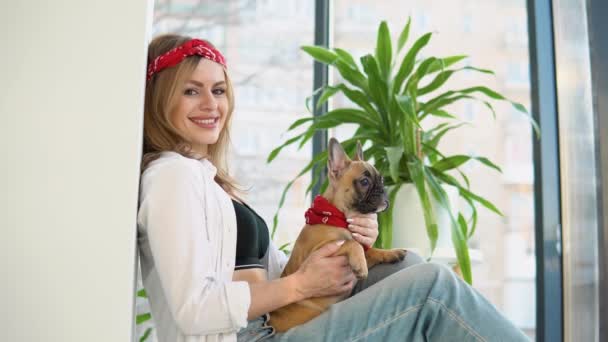 Schöne Frau mit einer französischen Bulldogge im Arm, die sitzt und direkt in die Kamera schaut — Stockvideo