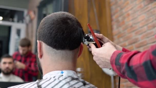 Junge stylische Friseurin in kariertem rot-schwarzem Hemd schneidet den Kunden in einem Friseursalon eine Frisur auf den Hinterkopf — Stockvideo