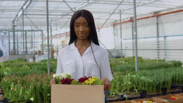 Hermosa joven afroamericana en una camisa blanca se encuentra en un invernadero y muestra coloridos arbustos de flores en una caja de madera artesanal — Vídeo de stock