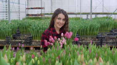 Dişi çiçekçi bir buket lale çiçeği