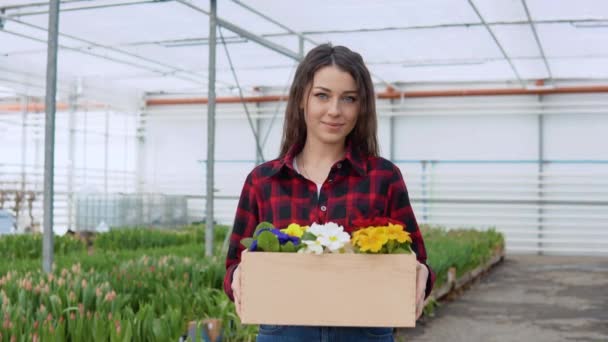 若い白人の女の子の花屋やオタクはカラフルな花の5ポットとクラフトボックスを保持 — ストック動画