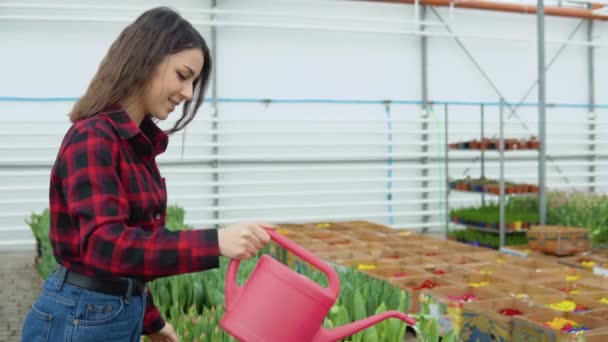 Молодая девушка флористка в рубашке и джинсах в сельском стиле стоит с красной лейкой и осуществляет полив растений — стоковое видео