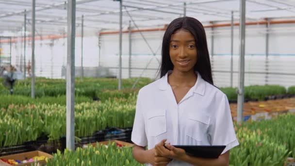 Bir serada bitki yetiştirmekle ilgili gençler için çalışmak — Stok video