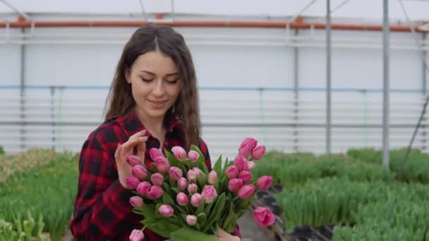 Joyful jovem florista profissional feminino em uma camisa vermelha e preta fica entre linhas de mudas de flores com um buquê de tulipas em suas mãos — Vídeo de Stock