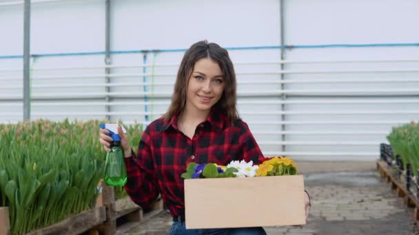 若い女の子の花屋や植物学者は、一方でカラフルな花の5ポットともう一方でスプリンクラーとクラフトボックスを保持しています — ストック動画