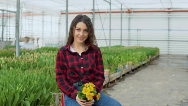 Uma menina florista jovem senta-se na frente de uma fileira de tulipas que ela cresce para venda e mantém flores amarelas em um pote — Vídeo de Stock