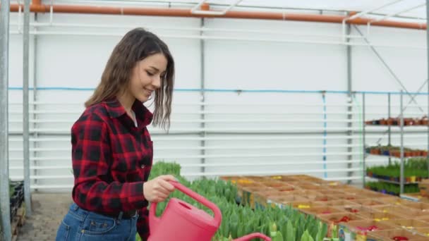 Odla dekorativa blommor i ett växthus — Stockvideo