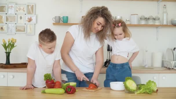 Um filho e uma filha assistem uma mãe cortar um tomate em uma mesa de cozinha em um projeto escandinavo. A família está vestida com as mesmas roupas básicas de cores brancas e azuis. Conceito de alimentação e dieta saudável — Vídeo de Stock
